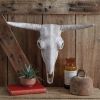 Longhorn Resin Skull - Western Decor Wall Mount Art with Realistic Detailing