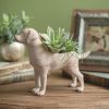 Adorable Resin Puppy Planter - Perfect for Succulents and Small Plants