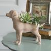 Adorable Resin Puppy Planter - Perfect for Succulents and Small Plants