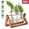 Desktop Glass Planter Bulb Plant Terrarium with Wooden Stand Air Planter Glass Vase Metal Swivel Plant Vase for Hydroponics