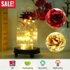 Foil Rose LED String Light Rose Fairy Lamp w/ Glass Dome For Valentines’ Day Mother’s Day Wedding Birthday